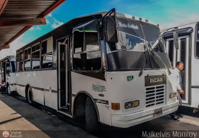 Unin Occidente 07 por Maikelvis Monroy