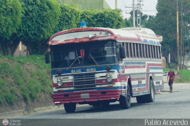 Expresos Nirgua 0005 por Pablo Acevedo