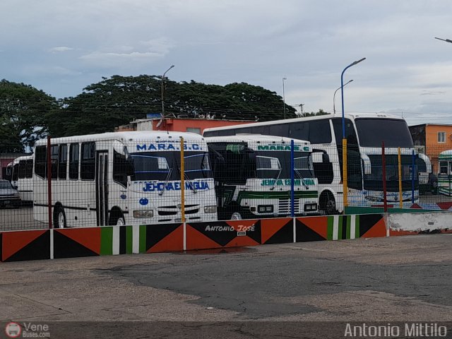 Garajes Paradas y Terminales San-Fernando por Antonio Mittilo