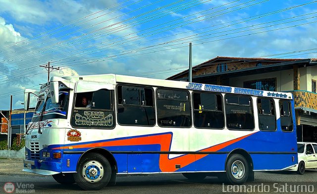 L�nea Los Andes S.C. 006 por Leonardo Saturno