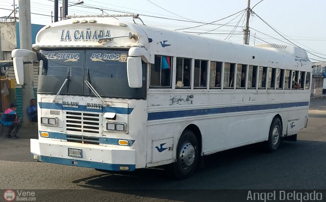 ZU - Colectivos La Caada 03 por ngel Delgado