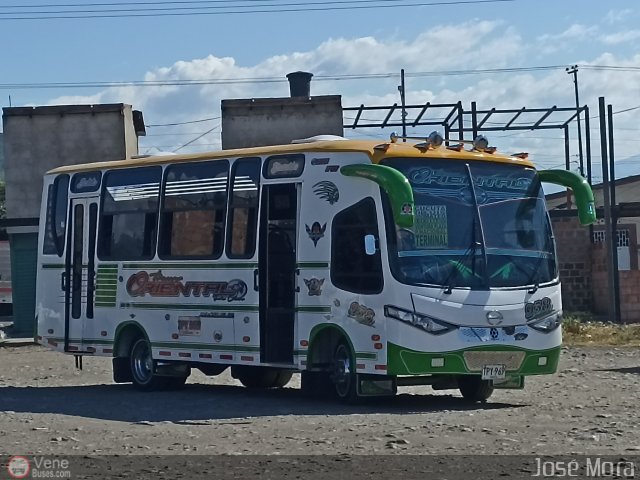 Trans Oriental S.A. 938 por Jos� Mora