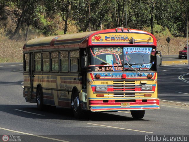 Transporte Colectivo Camag 08 por Pablo Acevedo