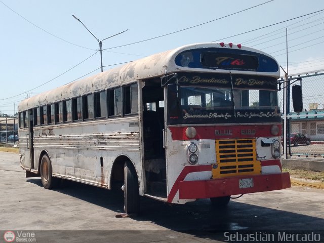 Colectivos Tulé C.A. 06 por Sebastián Mercado