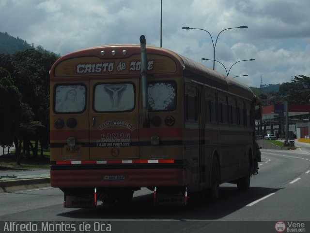 Transporte Colectivo Camag 03 por Alfredo Montes de Oca