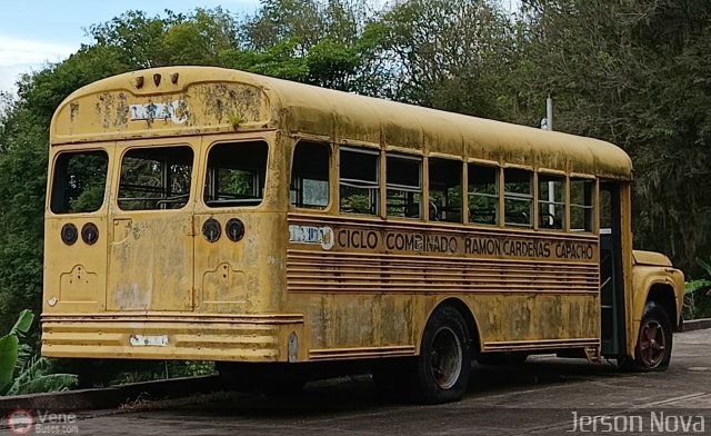 Universitarios y Escolares LIROCA600 por Jerson Nova