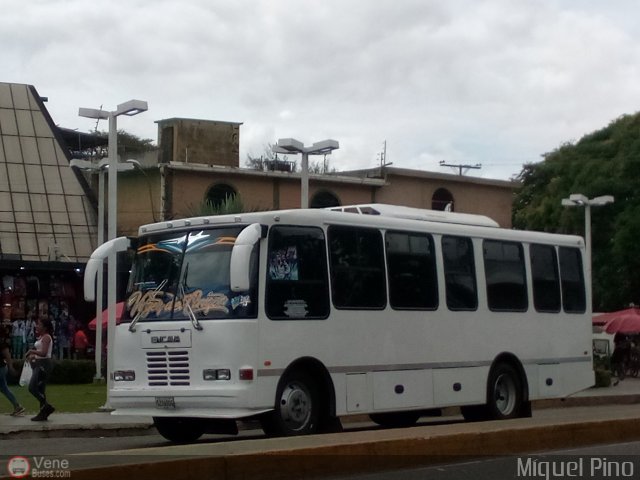 Transporte Nueva Generaci�n 0009 por Miguel Pino