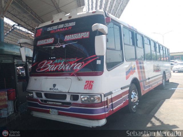 Foto �nibus Brasil.com, por Sebasti�n Mercado