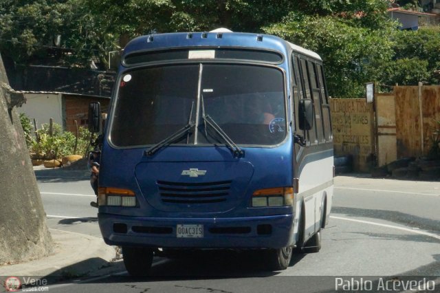 DC - Tigres de Plan de Manzano 046 por Pablo Acevedo