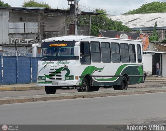 A.C. Transporte Paez 028 por Antonio Mittilo
