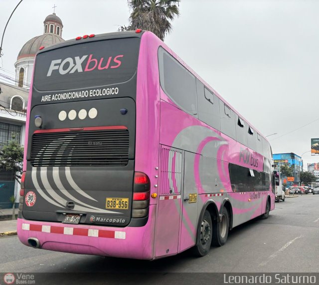 Fox Bus 956 por Leonardo Saturno