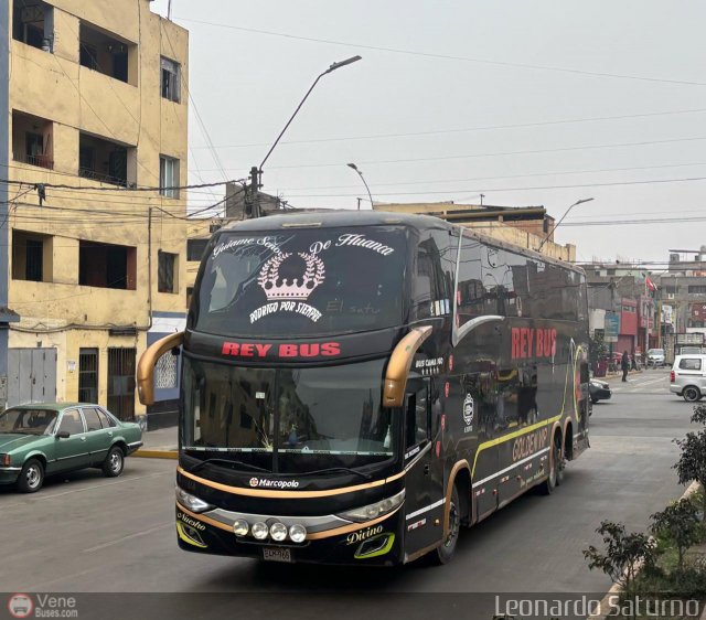 Transporte Turstico Rey Bus 968 por Leonardo Saturno