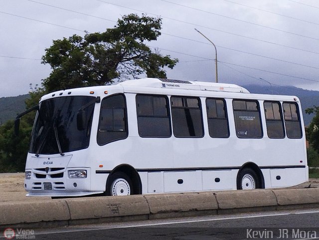 Particular 002 por Kevin Mora