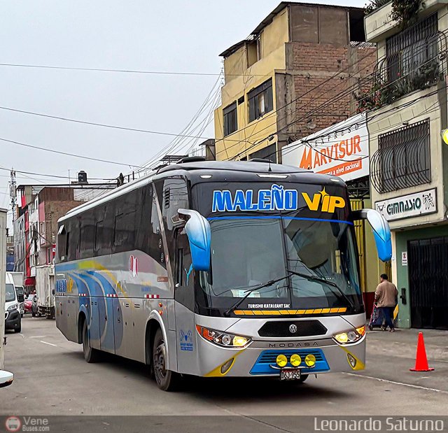 E.T. Maleo VIP 955 por Leonardo Saturno
