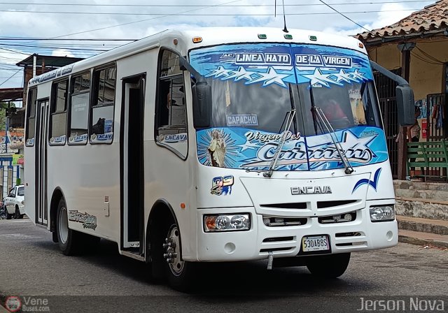 TA - A.C. Lnea Hato de La Virgen 09 por Jerson Nova