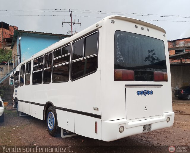 A.C. Transporte Paez 036 por Yenderson Cepeda