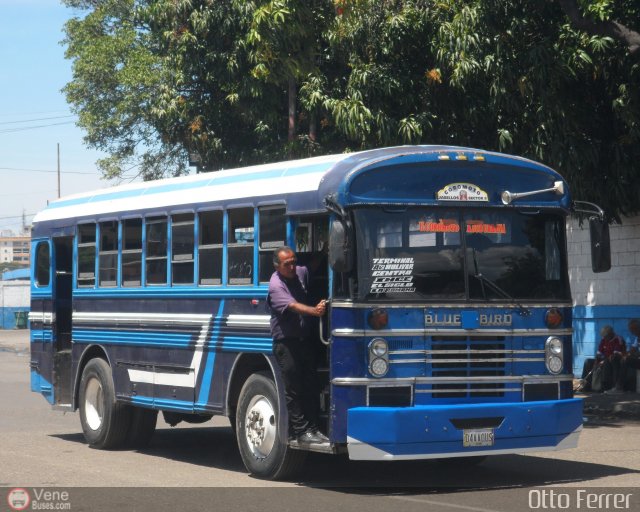 AR - Uni�n Coromoto 999 por Otto Ferrer