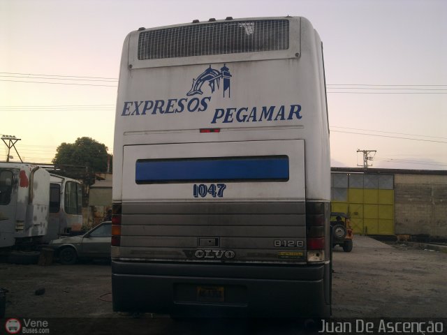 Expresos Pegamar 1047 por Juan De Asceno