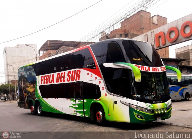 Grupo Perla del Sur S.A.C. 969 por Leonardo Saturno