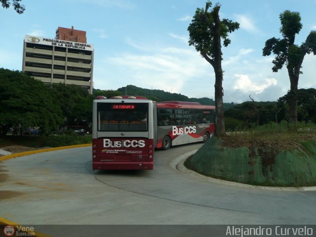 Bus CCS 1022 por Alejandro Curvelo