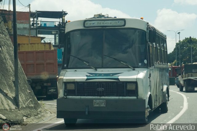 DC - Tigres de Plan de Manzano 043 por Pablo Acevedo