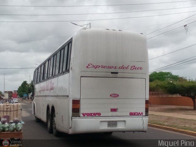 Expresos Del Sur 2011 por Miguel Pino