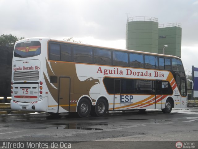 Aguila Dorada Bis 075 por Alfredo Montes de Oca