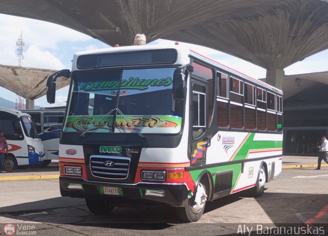 Expresos Bolivarianos 30 por Aly Baranauskas