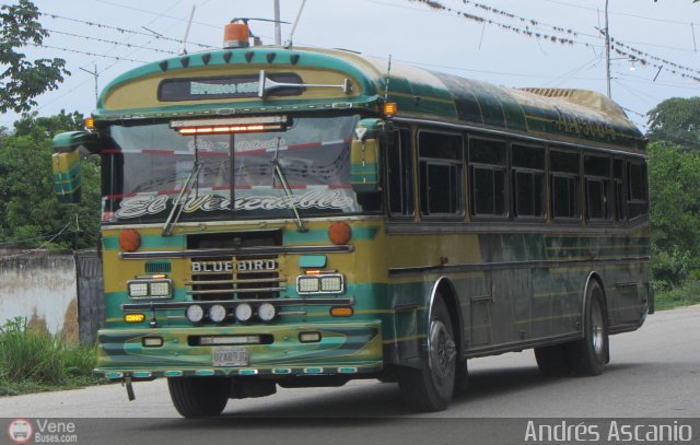 Expresos Gige 01 por Andrs Ascanio