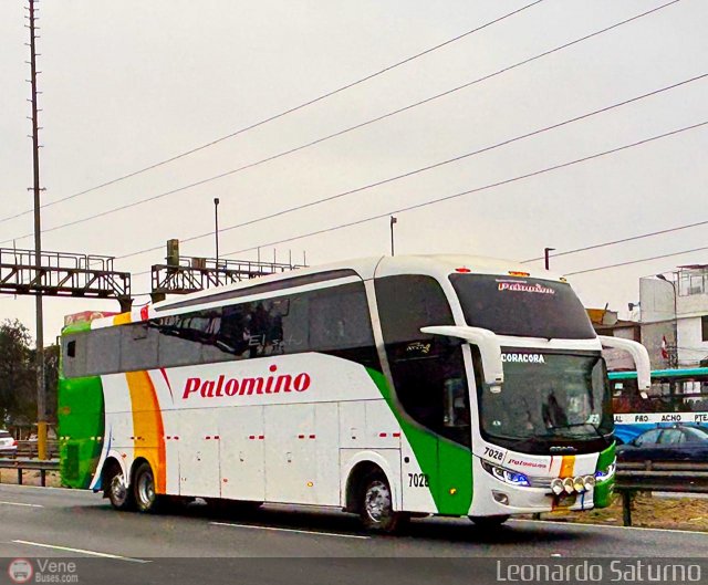 Expreso Internacional Palomino 7028 por Leonardo Saturno