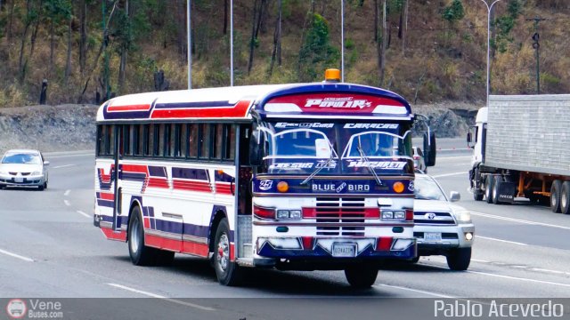 Expresos La Popular 25 por Pablo Acevedo