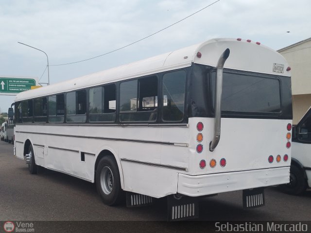 ZU - Ral Leoni 36 por Sebastin Mercado