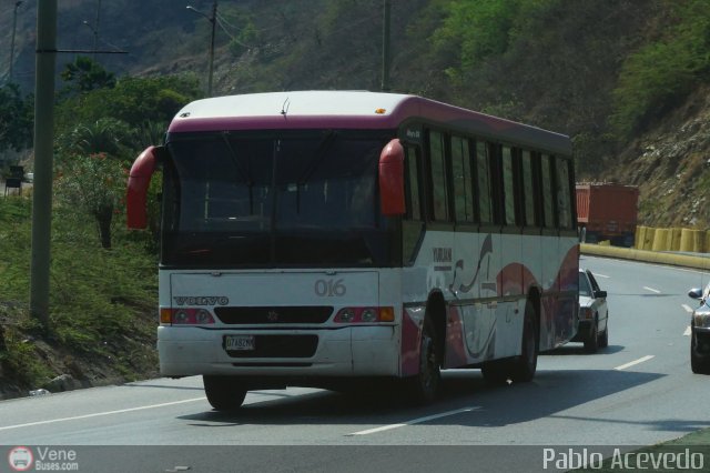 Particular 16 por Pablo Acevedo