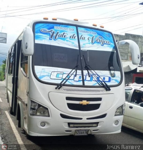 TA - A.C. Lnea Hato de La Virgen 10 por Jerson Nova