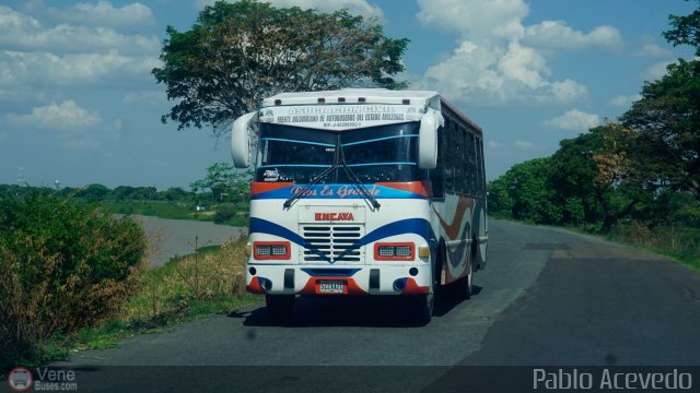 AM - A.C. Frente Boliv. de Autob. Edo. Amazonas 90 por Pablo Acevedo