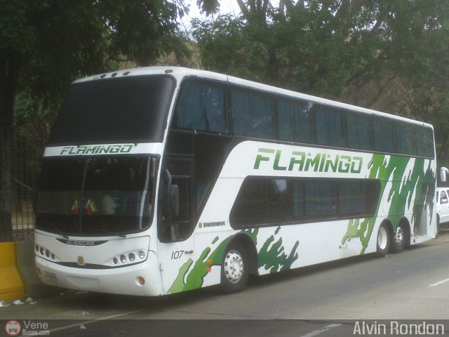 Expresos Flamingo 0107 por Alvin Rondn