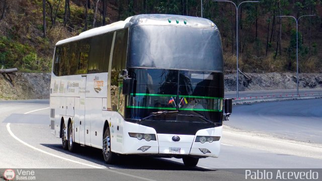 L�nea Lara 008 por Pablo Acevedo