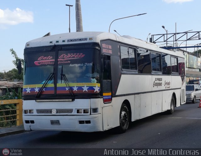 Expresos Guayana Oriente C.A. 2022 por Antonio Mittilo