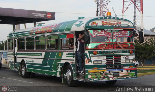 Transporte Unidos Boquer�n C.A. 17 por Andr�s Ascanio