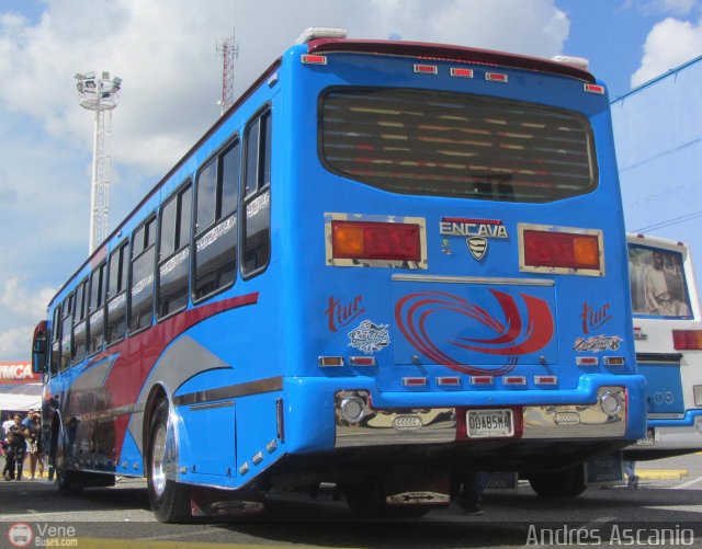 Particular 005 por Andrs Ascanio