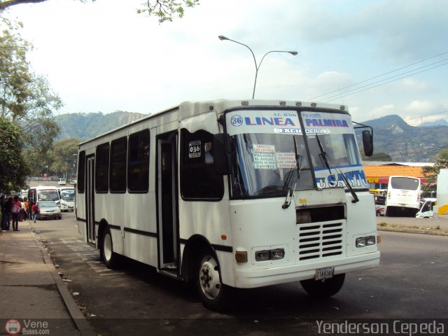 TA - A.C. Autos por puesto Lnea Palmira 036 por Yenderson Cepeda