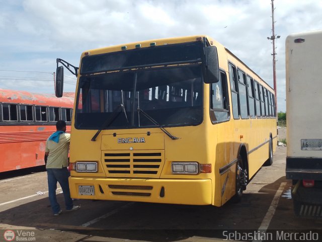 Lnea Maracaibo - El Consejo 92 por Sebastin Mercado