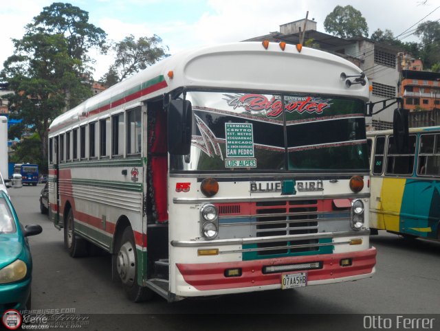 MI - Uni�n de Transportistas San Pedro A.C. 55 por Otto Ferrer