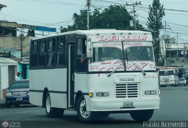 S.C. L�nea Qu�bor 54 por Pablo Acevedo