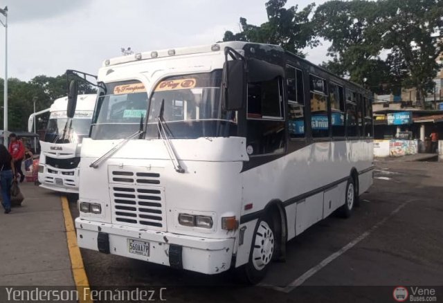A.C. Transporte Paez 009 por Yenderson Cepeda