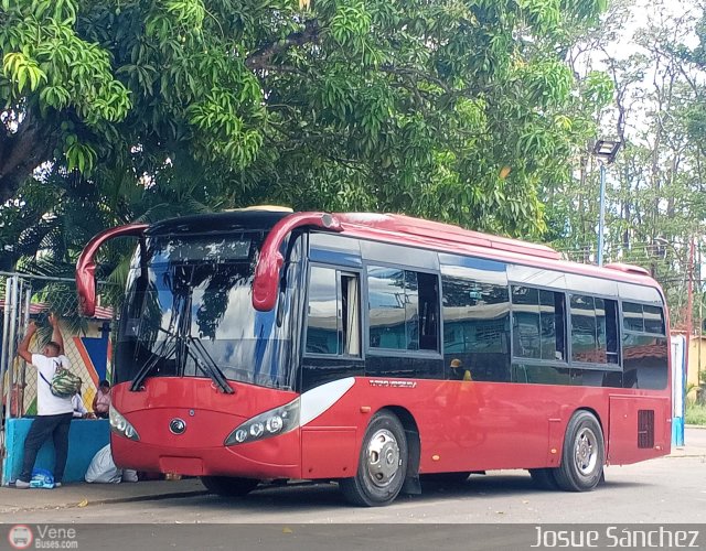A.C. Bus Palmar R.L. 003 por Josue Snchez