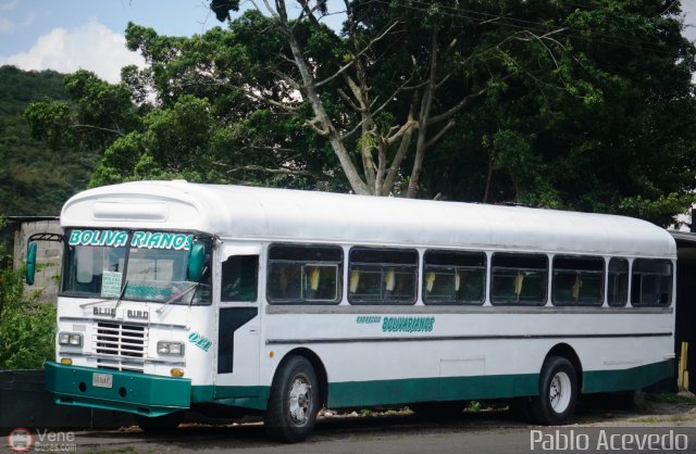 Expresos Bolivarianos 41 por Pablo Acevedo