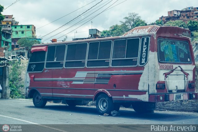 DC - Tigres de Plan de Manzano 023 por Pablo Acevedo