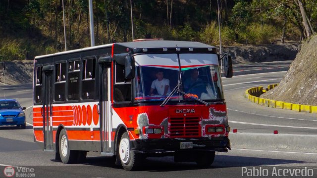 A.C. de Transporte La Raiza 036 por Pablo Acevedo