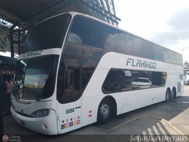 Expresos Flamingo 0088 por Sebastin Mercado